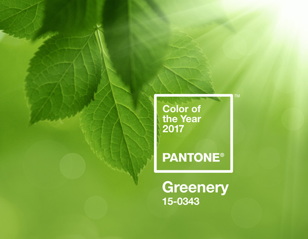 PANTONE2017年代色 15-0343 Greenery (草木綠)