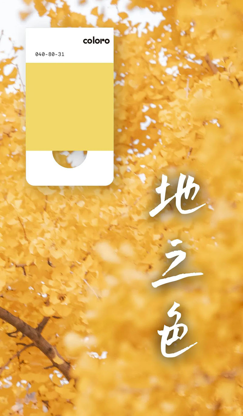 coloro色號040-80-31 coloro色號040-80-31