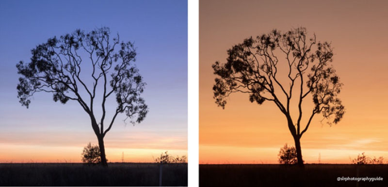 不同色溫拍攝出不同效果