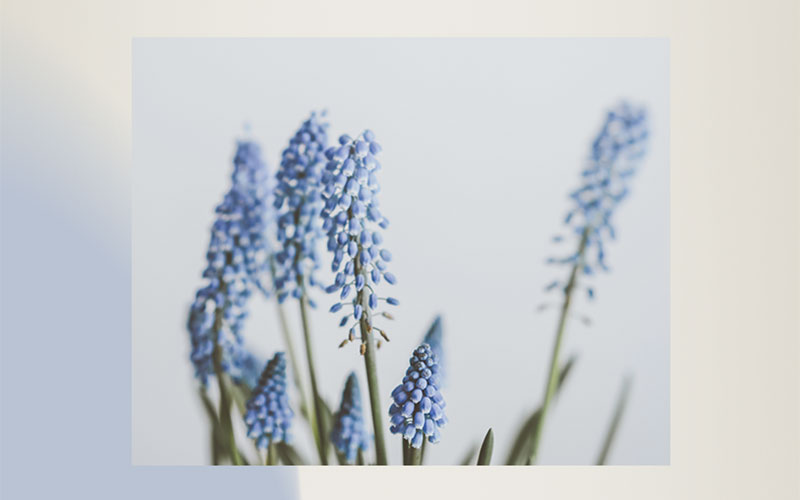 ral色彩香粉淡青 ral色彩香粉淡青