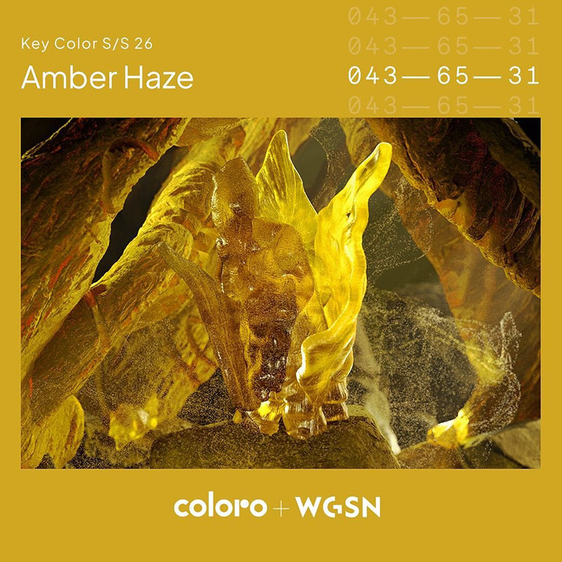 Coloro 043-65-31 Coloro 043-65-31