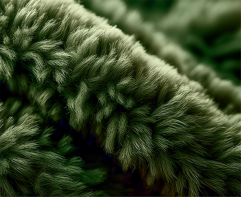 2025春夏色彩趨勢