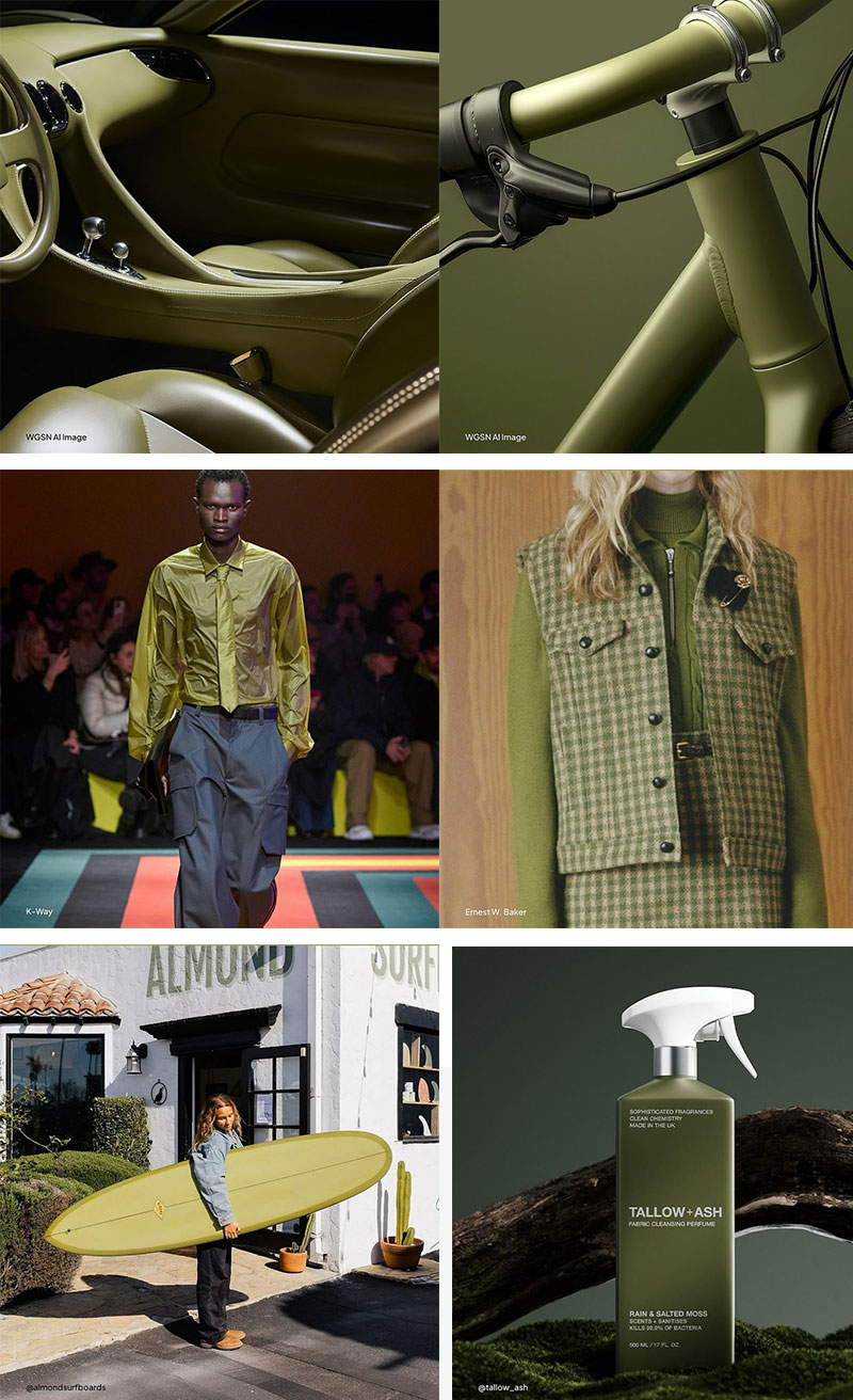 Coloro 050-61-19 牧場綠 Coloro 050-61-19 牧場綠