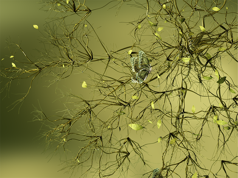 Coloro 050-61-19 牧場綠 Coloro 050-61-19 牧場綠