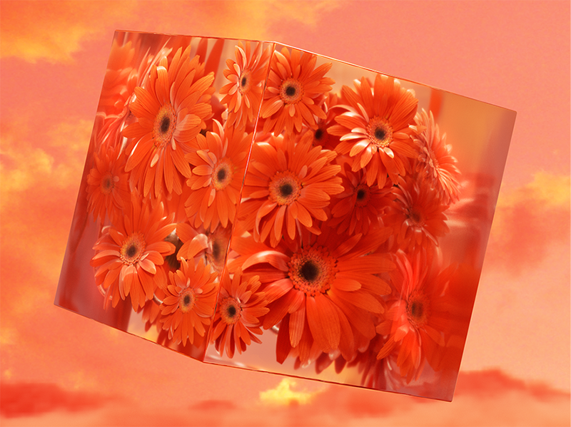 Coloro 18-57-34 活力橙 Coloro 18-57-34 活力橙